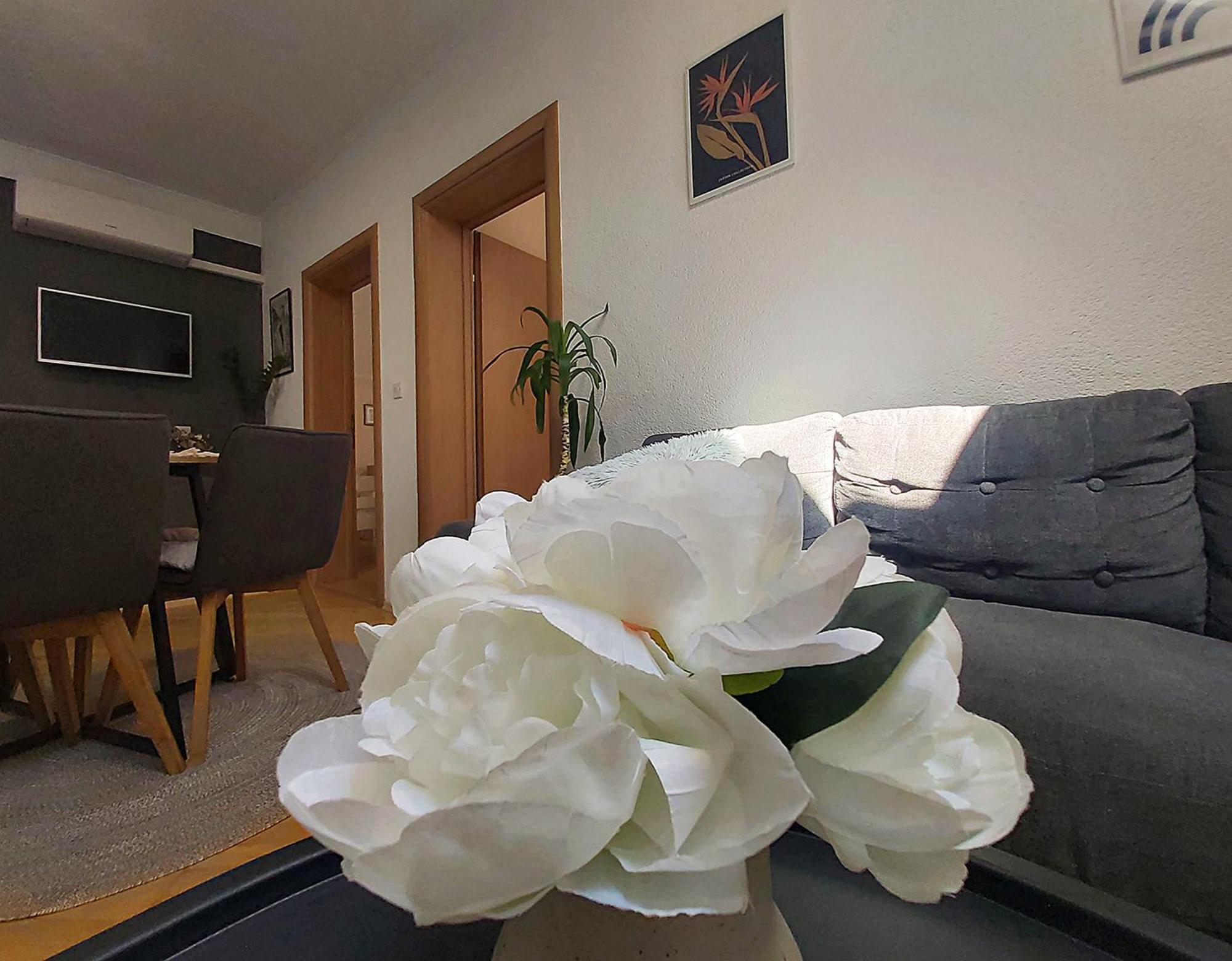 Zara Apartment With Terrace Near Old Town Мостар Екстер'єр фото